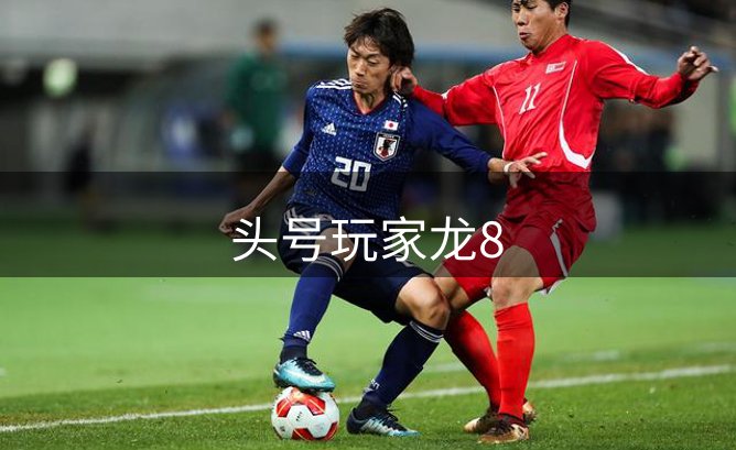 企业概况